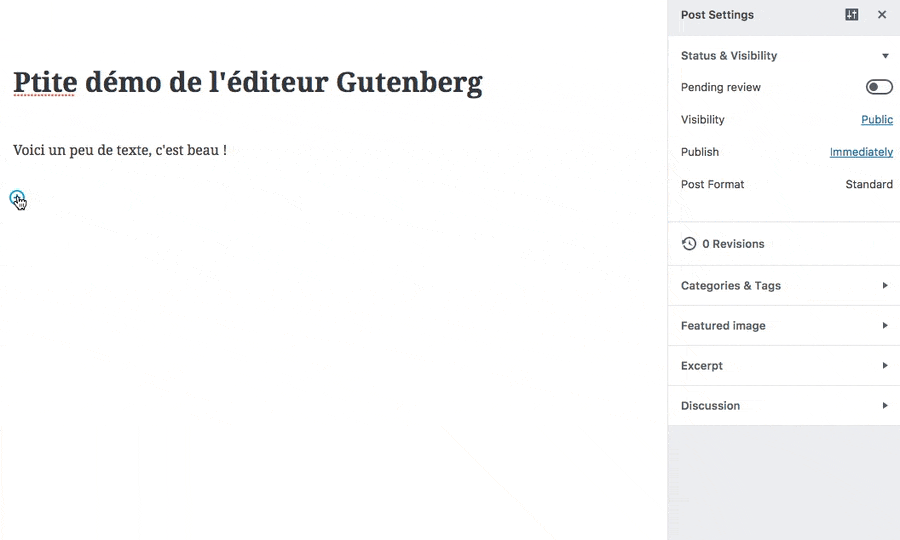 demo-gutenberg-1.gif